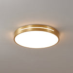 Caelum Ceiling Light