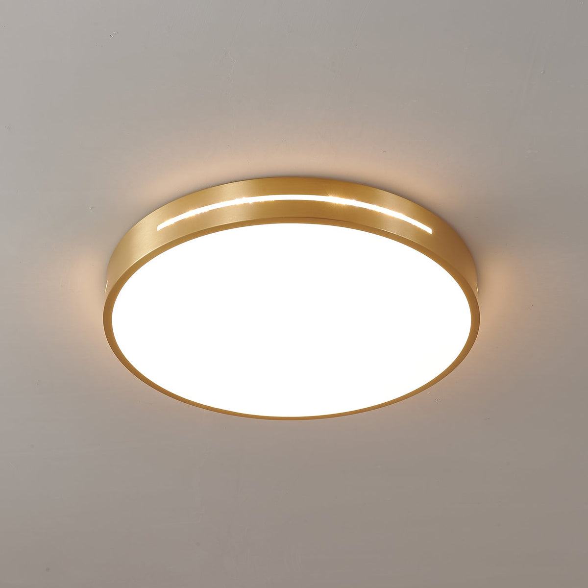 Caelum Ceiling Light