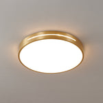 Caelum Ceiling Light