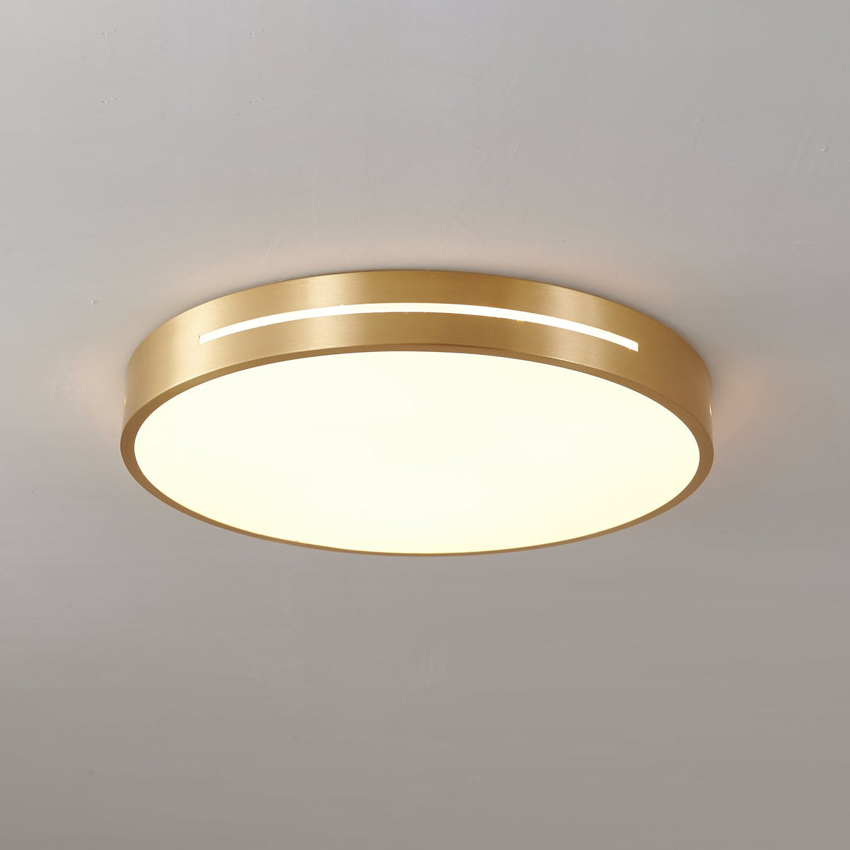 Caelum Ceiling Light