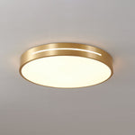 Caelum Ceiling Light