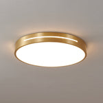 Caelum Ceiling Light