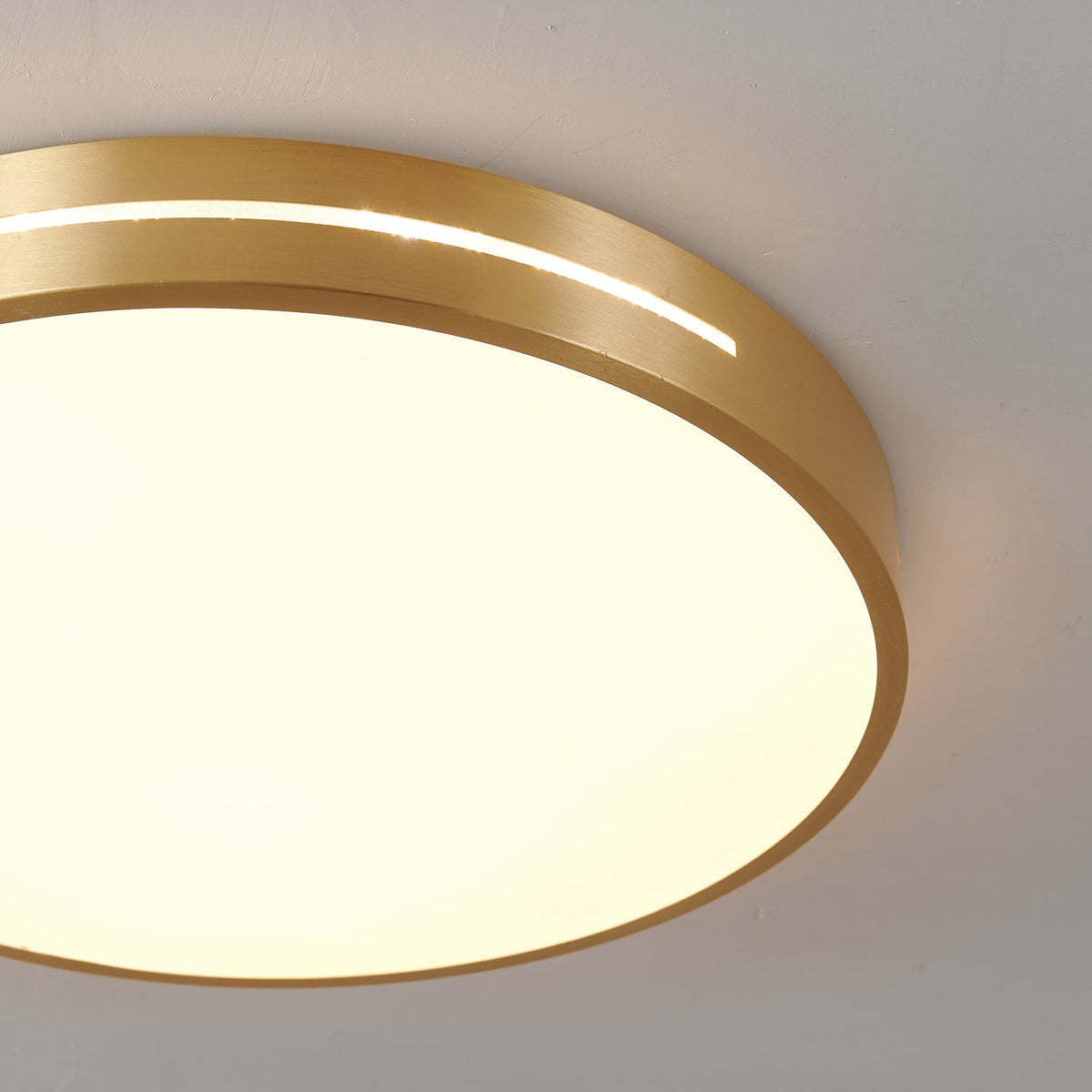 Caelum Ceiling Light