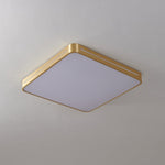 Caelum Ceiling Light