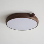 Calindra Ceiling Light