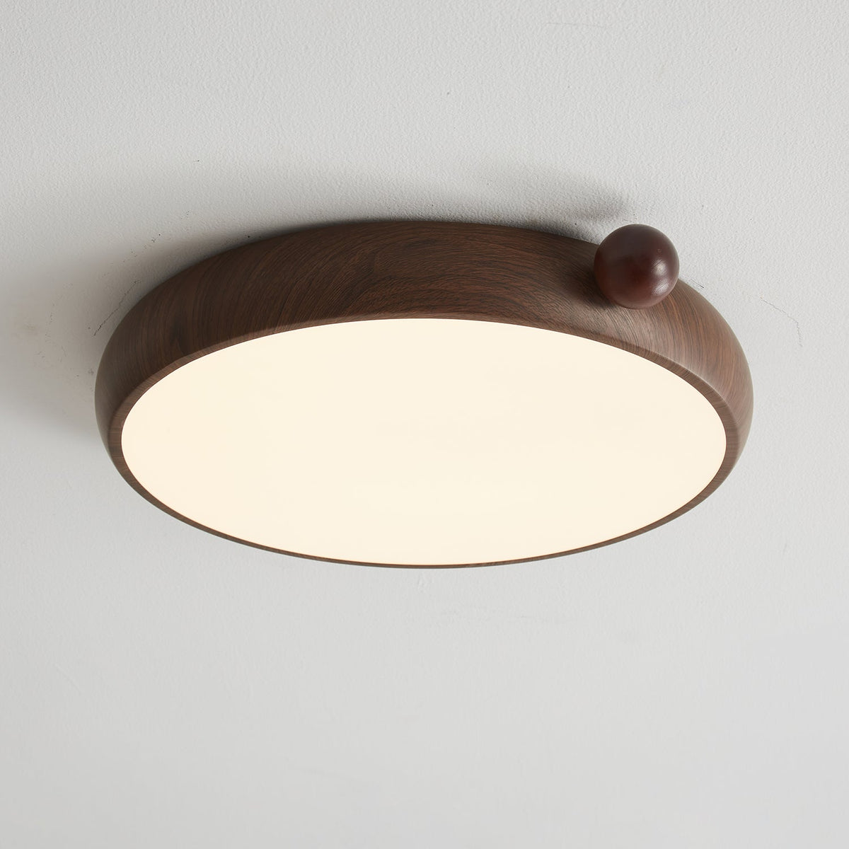 Calindra Ceiling Light