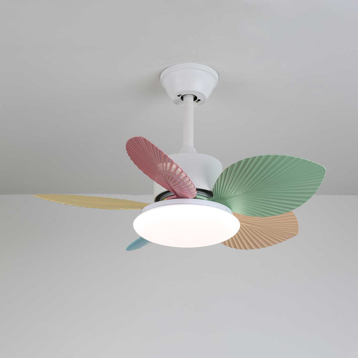 Candy Breeze Ceiling Fan Light