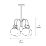 Carisa Collection Chandelier