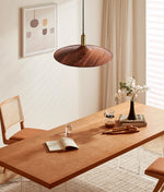 Crane Swing Arm Pendant Lamp