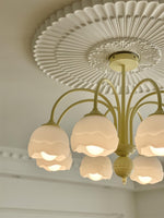 Creamy Chandelier