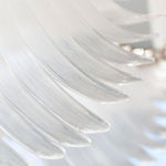 DIY Bird Feather Wings Chandelier