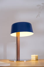 Dario Tilted Table Lamp