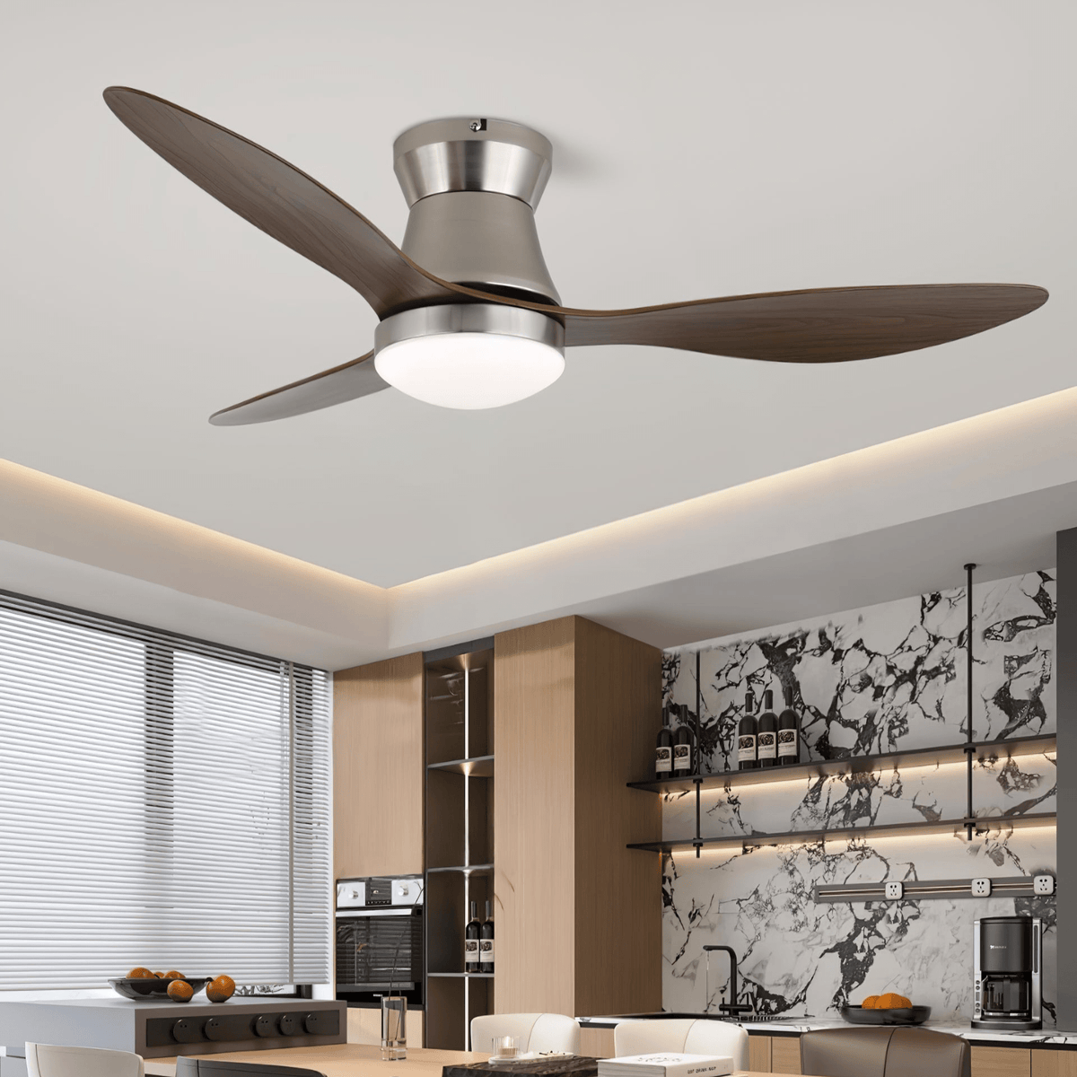 Aeronix Ceiling Fan Light