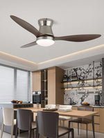 Aeronix Ceiling Fan Light