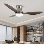 Aeronix Ceiling Fan Light