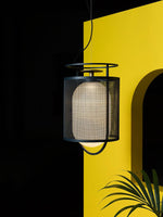 Denglong T Pendant Lamp 9.8"