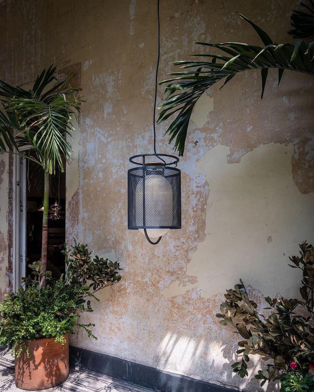 Denglong T Pendant Lamp 9.8"