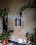 Denglong T Pendant Lamp 9.8"