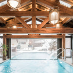 Denglong T Pendant Lamp 9.8"