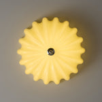 Dewdrop Shell Ceiling Light