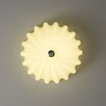 Dewdrop Shell Ceiling Light