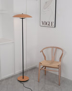 Directional Floor Lamp
