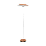 Directional Floor Lamp