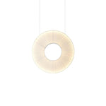 Ferris Wheel Pendant Light