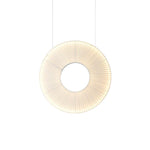 Ferris Wheel Pendant Light