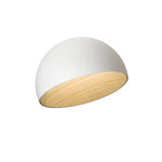 Duo Ceiling Lamp