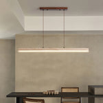 Ecliptic Beam Pendant Lamp