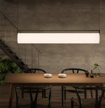 Edge Linear Pendant Light