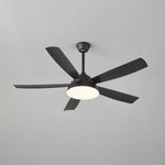 Elysian Ceiling Fan Light