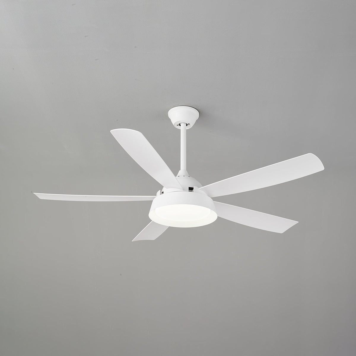 Elysian Ceiling Fan Light