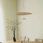 Eryndor Disc Pendant Lamp