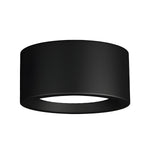 Ethan Surface Ceiling Light