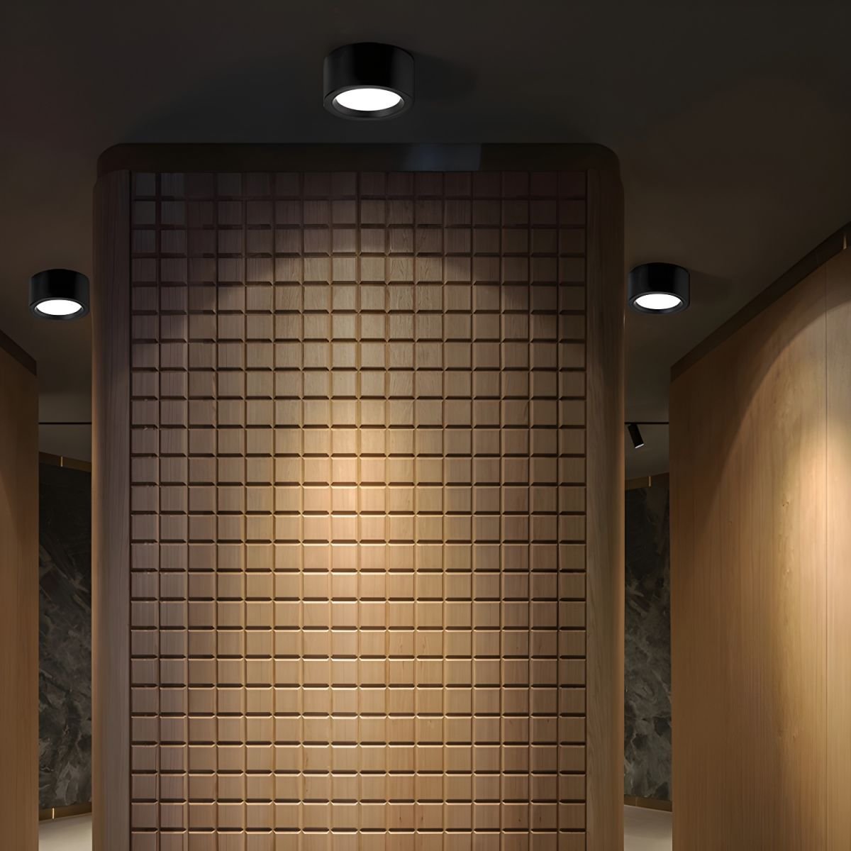 Ethan Surface Ceiling Light