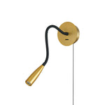 Flexi Hose Plug-in Wall Light