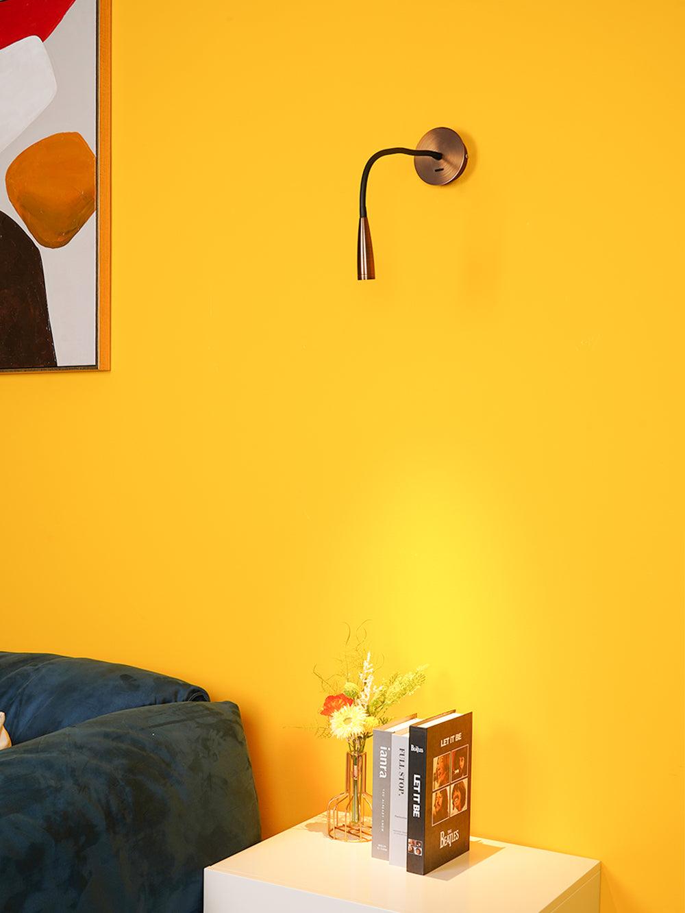 Flexi Hose Plug-in Wall Light