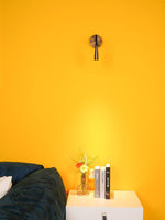 Flexi Hose Plug-in Wall Light