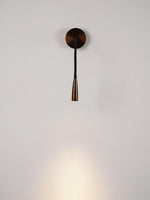 Flexi Hose Plug-in Wall Light