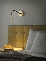 Flexi Hose Plug-in Wall Light