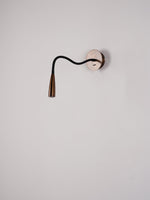 Flexi Hose Plug-in Wall Light