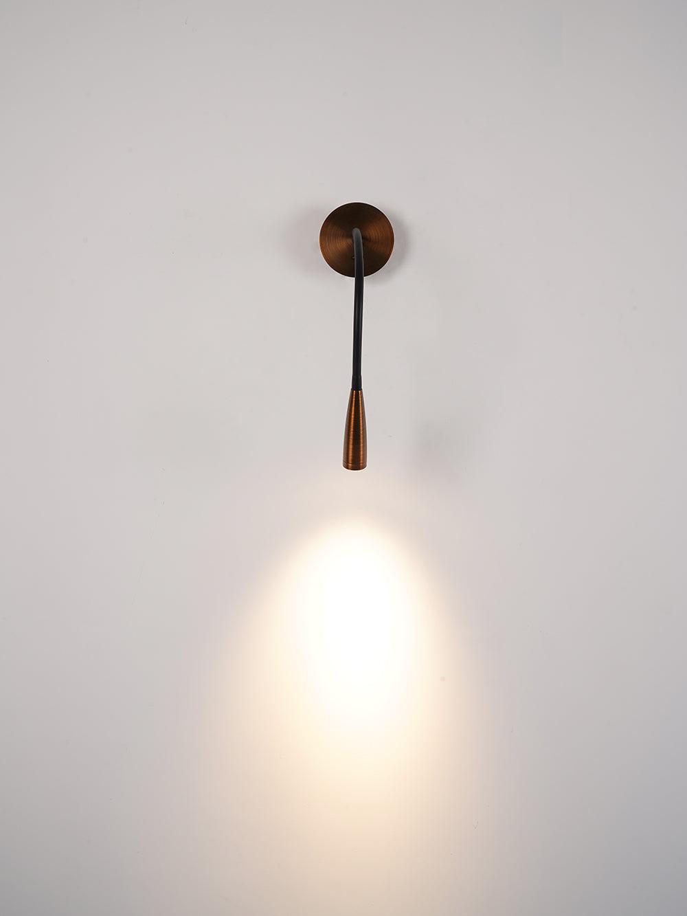 Flexi Hose Plug-in Wall Light