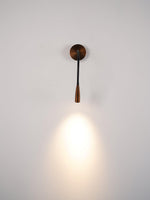 Flexi Hose Plug-in Wall Light