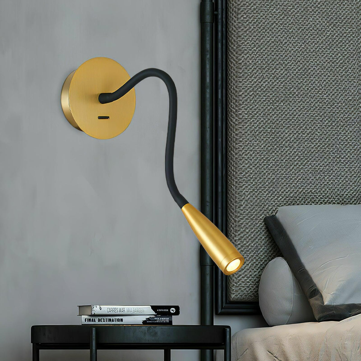 Flexi Hose Plug-in Wall Light