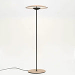 Innovative Directional Floor Lamp