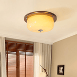 Glass Dome Ceiling Light