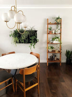 Gooseneck Chandelier 30"