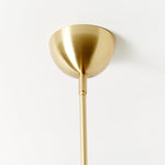 Gooseneck Chandelier 30"